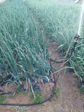 재연농장님의 자유주제 · 자유게시판 작성글 사진