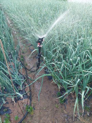 재연농장님의 자유주제 · 자유게시판 작성글 사진