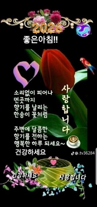최재만님의 자유주제·자유게시판 작성글 사진