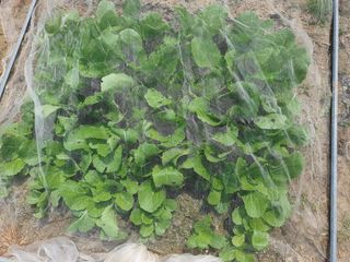 김양석님의 자유주제·자유게시판 작성글 사진