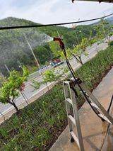 팜모닝 자유주제·자유게시판 게시글 이미지