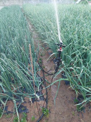 재연농장님의 자유주제 · 자유게시판 작성글 사진