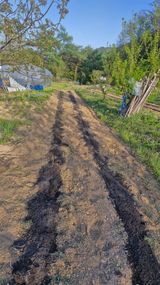 정석구님의 자유주제·자유게시판 작성글 사진