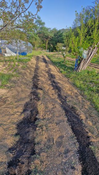 정석구님의 자유주제 · 자유게시판 작성글 사진