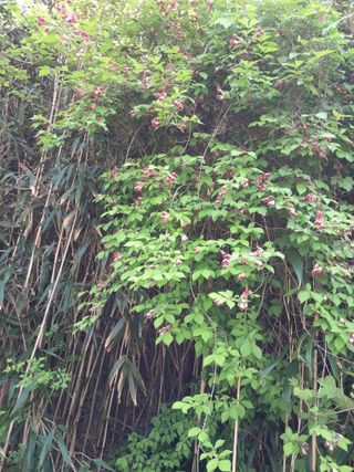 김민수산에서농사중님의 자유주제 · 자유게시판 작성글 사진