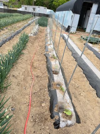 원영님의 자유주제 · 자유게시판 작성글 사진