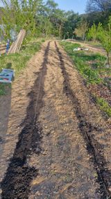 정석구님의 자유주제·자유게시판 작성글 사진