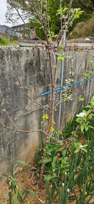 휘파람님의 자유주제 · 자유게시판 작성글 사진