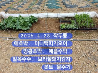 박성민님의 자유주제·자유게시판 작성글 사진