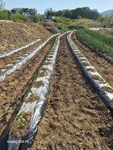 정금천님의 자유주제·자유게시판 작성글 사진