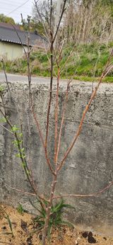 휘파람님의 자유주제·자유게시판 작성글 사진