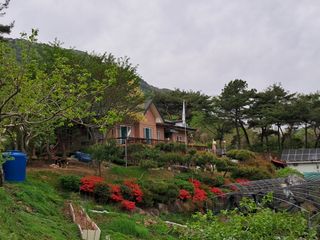 이수명님의 자유주제 · 자유게시판 작성글 사진