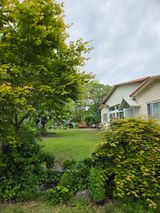 최동수님의 자유주제·자유게시판 작성글 사진