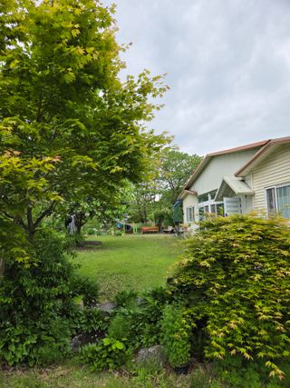 최동수님의 자유주제 · 자유게시판 작성글 사진