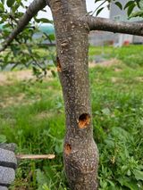 팜모닝 자유주제·자유게시판 게시글 이미지