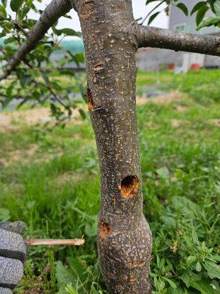 김성동님의 자유주제 · 자유게시판 작성글 사진