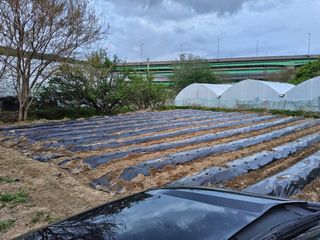 신지연님의 자유주제 · 자유게시판 작성글 사진