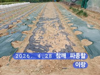 박성민님의 자유주제 · 자유게시판 작성글 사진