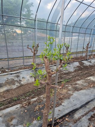 가인 5362님의 자유주제 · 자유게시판 작성글 사진