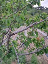 표고버섯18837님의 자유주제·자유게시판 작성글 사진