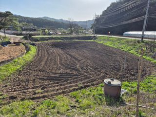 홍천.서석.안민기님의 자유주제·자유게시판 작성글 사진