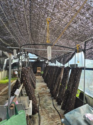 김순필수방님의 자유주제·자유게시판 작성글 사진