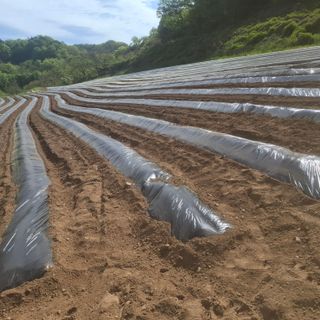 오영도님의 자유주제 · 자유게시판 작성글 사진