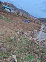 팜모닝 자유주제·사진전 게시글 이미지