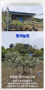 팜모닝 자유주제·자유게시판 게시글 이미지