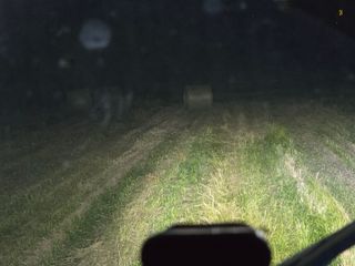 정영기대산축산농부♡님의 자유주제 · 자유게시판 작성글 사진