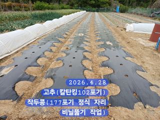 박성민님의 자유주제 · 자유게시판 작성글 사진