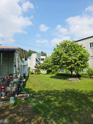 최동수님의 자유주제·자유게시판 작성글 사진