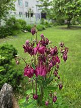 최동수님의 자유주제·자유게시판 작성글 사진