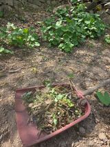 김용대님의 자유주제·자유게시판 작성글 사진