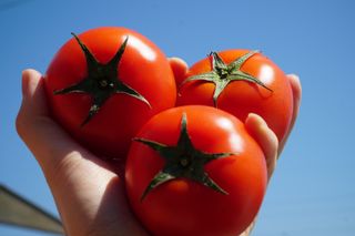 김용환님의 자유주제 · 자유게시판 작성글 사진