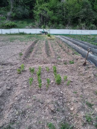 감20280님의 자유주제 · 자유게시판 작성글 사진