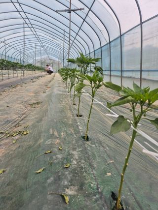 김혜순님의 자유주제 · 자유게시판 작성글 사진