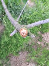 표고버섯18837님의 자유주제·자유게시판 작성글 사진