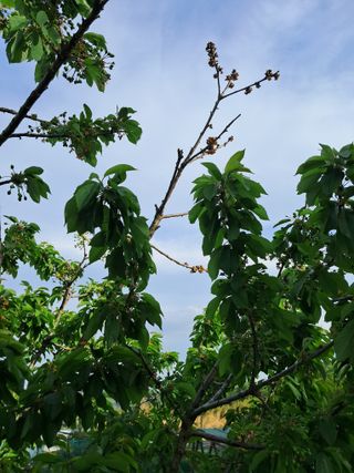 표고버섯18837님의 자유주제 · 자유게시판 작성글 사진