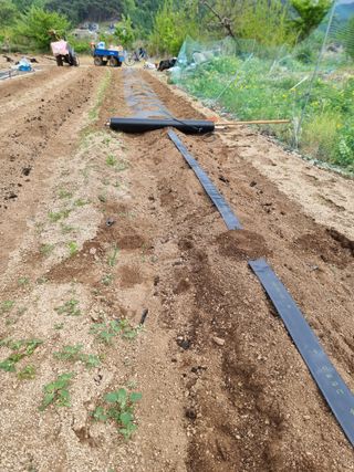 조경준님의 자유주제 · 자유게시판 작성글 사진