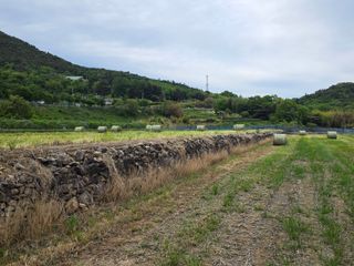 정영기대산축산농부♡님의 자유주제 · 자유게시판 작성글 사진