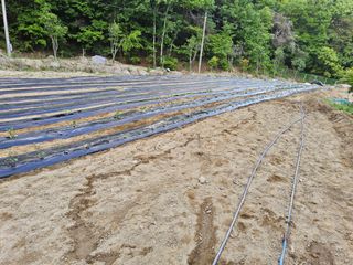 신지연님의 자유주제 · 자유게시판 작성글 사진