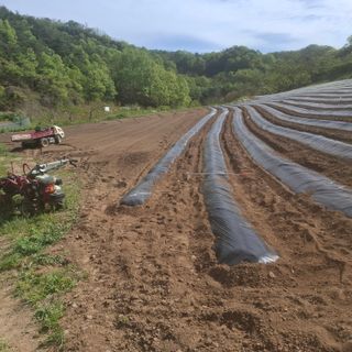오영도님의 자유주제 · 자유게시판 작성글 사진