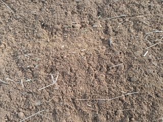 김민수산에서농사중님의 자유주제 · 자유게시판 작성글 사진