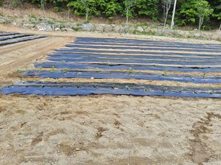 신지연님의 자유주제 · 자유게시판 작성글 사진