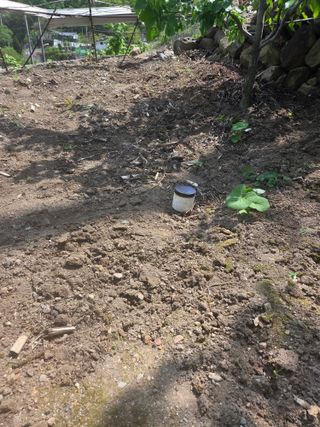 김용대님의 자유주제 · 자유게시판 작성글 사진