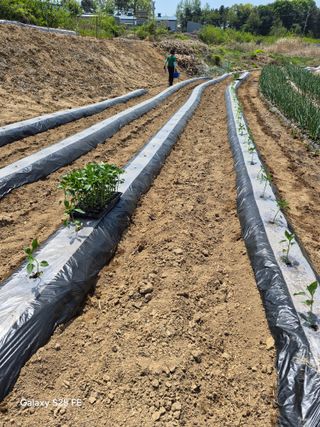 정금천님의 자유주제·자유게시판 작성글 사진