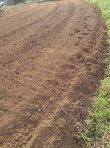 김민수산에서농사중님의 자유주제·자유게시판 작성글 사진