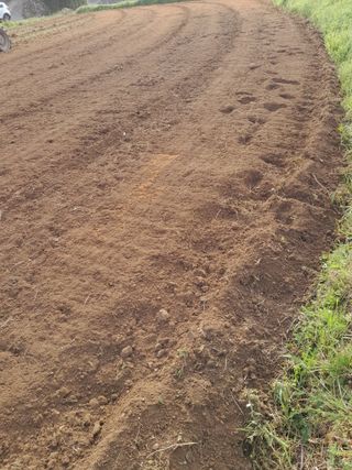 김민수산에서농사중님의 자유주제 · 자유게시판 작성글 사진