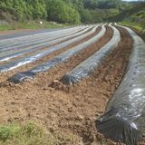 팜모닝 자유주제·자유게시판 게시글 이미지